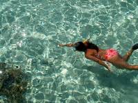 bora bora snorkeling 8 